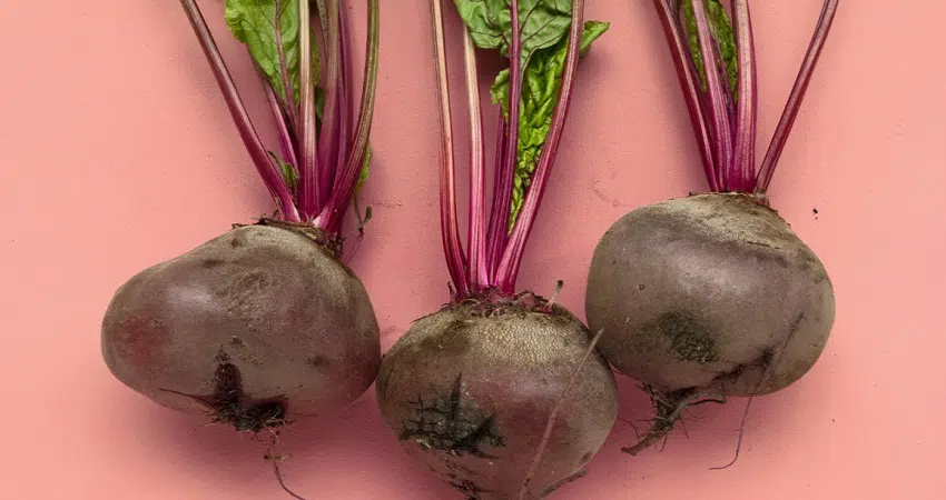beets 1296x728 header