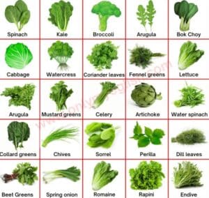 Green leaves Vegetables
