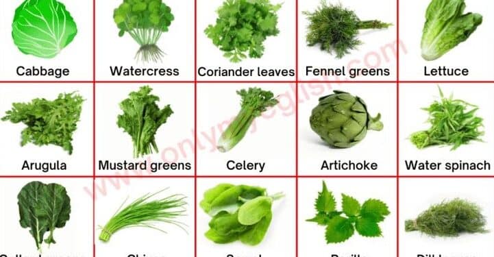 Health benefits of leafy greens - FOOD-AN-HEALTH