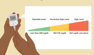what is a total cholesterol level