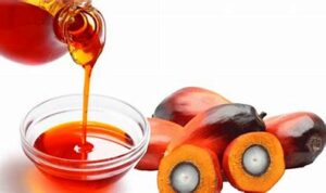 palm oil