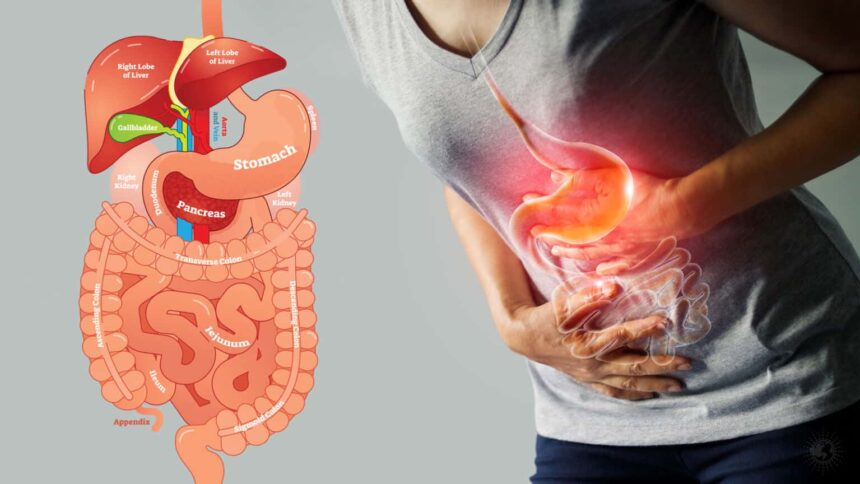 Science Reveals 15 Habits for Better Digestion 1536x864 1