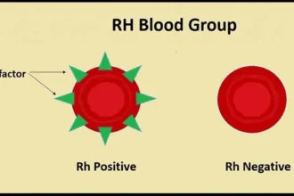 Rh Blood Group System