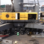 APM5 (1)