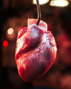 Daily Habits That Support Long Term Heart Health 1