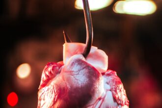 Daily Habits That Support Long-Term Heart Health 3 Daily Habits That Support Long Term Heart Health 1