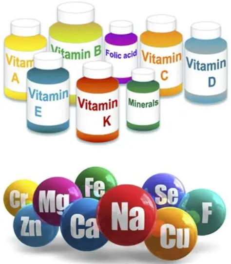 Daily Micronutrients You Might Be Missing in Your Diet 1 micronutrients