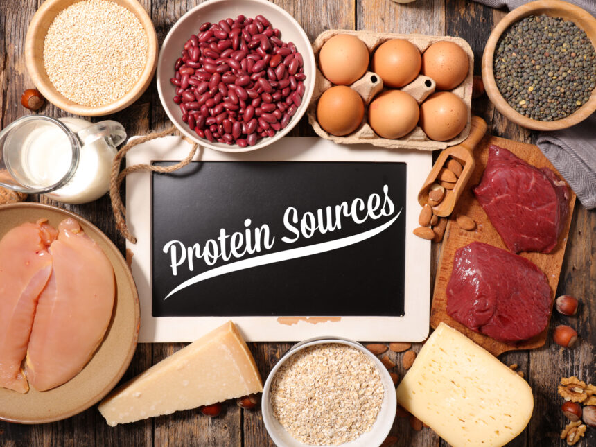 Best Protein Sources for Weight Management 1 Best Protein Sources for Weight Management