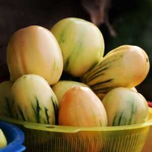 How to Build a Balanced Plate Using Local Foods