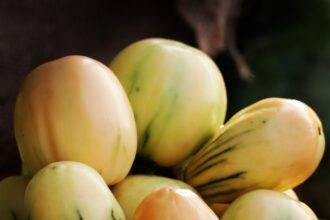 How to Build a Balanced Plate Using Local Foods