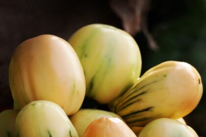 How to Build a Balanced Plate Using Local Foods