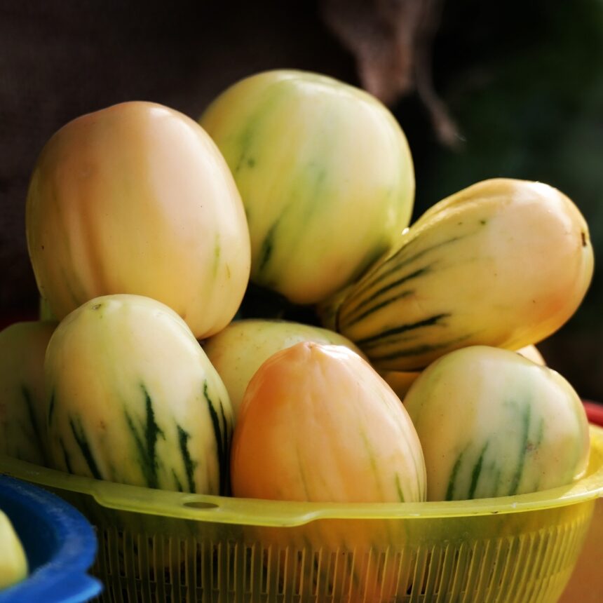 How to Build a Balanced Plate Using Local Foods