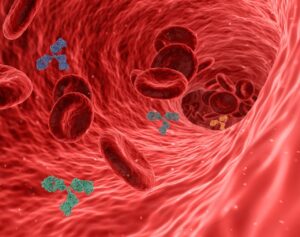 How Poor Eating Habits Affect Your Immune System