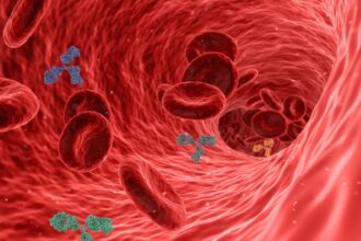 How Poor Eating Habits Affect Your Immune System