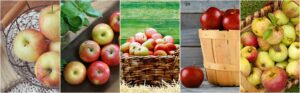 FoodanHealth 18 Fruits for Weight Loss