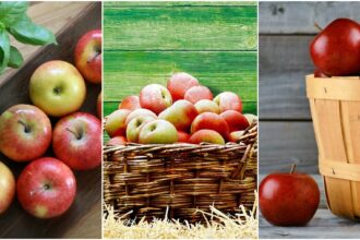 Fruits for Weight Loss