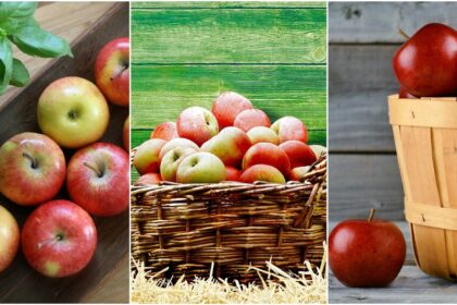 Fruits for Weight Loss