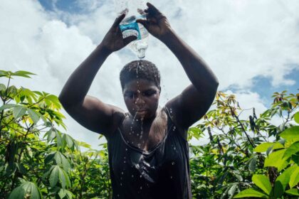 Heat Stress Alert in Nigeria