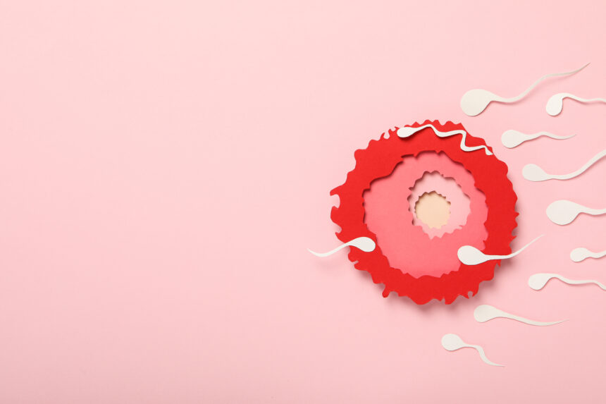 The Luteal Phase What Happens in Your Body and Why It Matters