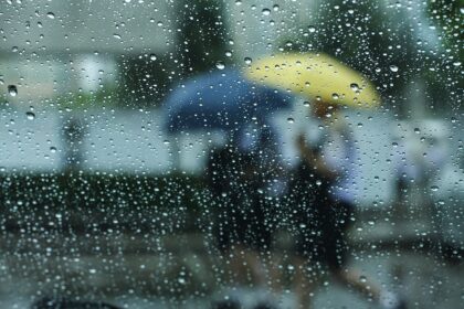 Rain