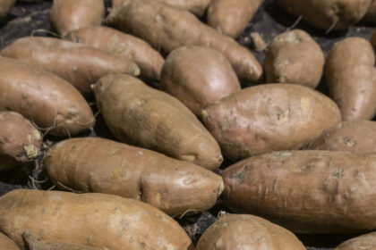 Sweet Potatoes