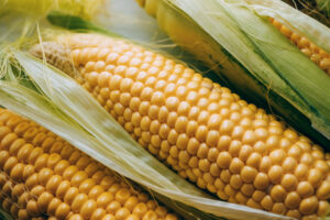 Nigerian Foods 1