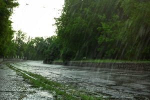 Rainy Season