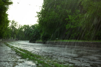 Rainy Season