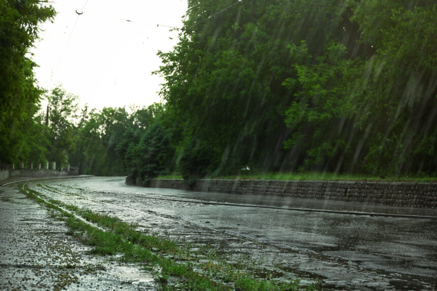 Rainy Season